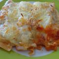 CANELONES EXTRA RAPIDOS