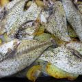 Dorada a la Espalda