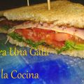 Sandwich Vegetal Integral