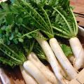 Snack de Daikon