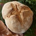 PAN ARTESANO CON MASA MADRE NATURAL