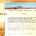 Trigo khorasan Kamut®