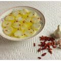 Bacalao para principiantes