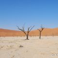 The Namib-Naukluft National Park