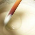 Bechamel