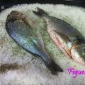 DORADA A LA SAL