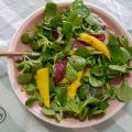 ENSALADA DE CANONIGOS, MANGO Y MAGRET DE PATO/[...]