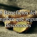 Beneficios del jengibre