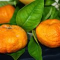 Postre: Batido de mandarina y plátano