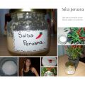 Salsa picante peruana.