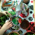 Mañanita de plantas