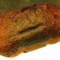 Pan de chocolate y naranja confitada