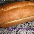 PAN INTEGRAL