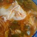 Nopales Navegantes