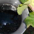 Frijoles negros con arroz (Moritos o Porotos)