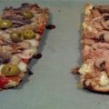 PANINI (DR8)