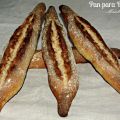 PAN PARA BOCADILLOS (Xavier Barriga)