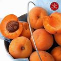 Mermelada de Albaricoques
