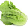 Lechuga divertida??!!
