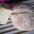 Pan de maíz y trigo con polish