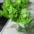 Ensalada Loluchi