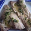 DORADA Y LUBINA A LA ESPALDA