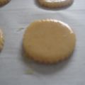 GALLETAS DE FRUTOS SECOS