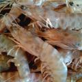 LANGOSTINOS DE SANLÚCAR