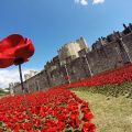 Tower of London. Cuando la memoria se viste de[...]