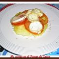 Timbal de patata, tomate y queso de cabra