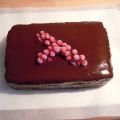 Tarta de galletas y cobertura de chocolate