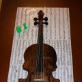 Tarta violin!