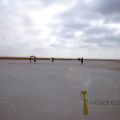 La sal del desierto