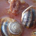 RECETA DE CARACOLES (a mi manera)