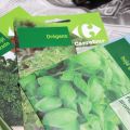 mis plantas aromáticas / meine Gartenkräuter