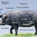 Secreto de Cerdo Ibérico con Puré de Calabacín