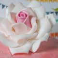 Tarta degradada ROSA!!