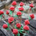 Rosas de gominolas / chuches