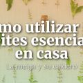 Cómo Utilizar los Aceites Esenciales en Casa