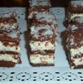 PASTELITOS DE CHOCOLATE Y COCO