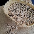 Fesols con butifarra del Perol