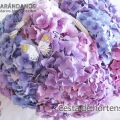 Arreglo floral con hortensias