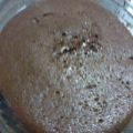 bizcocho de chocolate al microondas