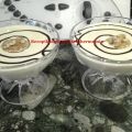 Flan de queso cremoso thermomix