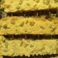 Rosquilletas o Galletas Saladas con Pipas
