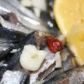 sardinas con hinojo / Sardinen mit Fenchel