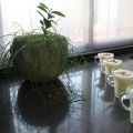 Mousse de melón