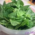 Arreglar la menta