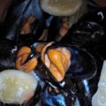 MEJILLONES AL VAPOR