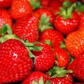 Manera de preparar las fresas y fresones